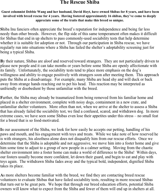 The Rescue Shiba

 Guest columnist Debbie Wang and her husband, David Hoyt, have owned Shibas for 8 years, and have been involved with breed rescue for 4 years.  Having fostered approximately 16 shibas, they’ve come to deeply appreciate some of the traits that make this breed so unique. 

Shiba Inu fanciers often appreciate the breed’s reputation for independence and being far less needy than other breeds.  However, the flip side of this same temperament often makes it difficult for Shibas that end in up shelters to pass commonly-used sociability tests that help determine whether it is suitable for adoption or not.  Through our participation in Shiba rescue, we have regularly run into situations where a Shiba has failed the shelter’s adoptability screening just for being a typical Shiba. 

By their nature, Shibas are aloof and reserved toward strangers.  They are not particularly driven to please new people and it can take months or years before some Shiba are openly affectionate with its family.  Unfortunately, the sociability tests tend to place more emphasis on the dog’s willingness and ability to engage positively with strangers soon after meeting them.  This approach puts the Shiba at a disadvantage.  For example, many Shiba are head shy and will duck or back away from strange hands reaching out to pet his head.  This reaction may be interpreted as unfriendly or disobedient by those unfamiliar with the breed.

Further, the Shiba may already be traumatized from being removed from his familiar home and placed in a shelter environment, complete with noisy dogs, containment in a new crate, and unfamiliar shelter volunteers.  More often than not, when we arrive at the shelter to assess a Shiba that has already failed the sociability test, we find a confused, scared, and withdrawn dog.  In more extreme cases, we have seen some Shibas even lose their appetites under this stress – no small feat for a breed that is so food-motivated.

In our assessment of the Shiba, we look for how easily he accepts our petting, handling of his paws and mouth, and his engagement with toys and treats.  While we take note of how reserved he is with strangers, his aloofness alone does not disqualify him from our rescue efforts.  Once we determine that the Shiba is adoptable and not aggressive, we move him into a foster home and give him some time to adjust to a group of new people in a calmer setting.  Moving from the chaotic shelter environment into a foster home can make a world of difference to the Shiba!  Within days, our fosters usually become more confident, let down their guard, and begin to eat and play with toys again.  The withdrawn Shiba fades away and the typical bold, independent, dignified Shiba takes its place. 

As more shelters become familiar with the breed, we find they are contacting breed rescue volunteers to evaluate Shibas that have failed sociability tests, resulting in more rescued Shibas that turn out to be great pets.  We hope that through our breed education efforts, potential Shiba owners will know what to expect from the Shiba and fewer of them will end up in shelters at all.


