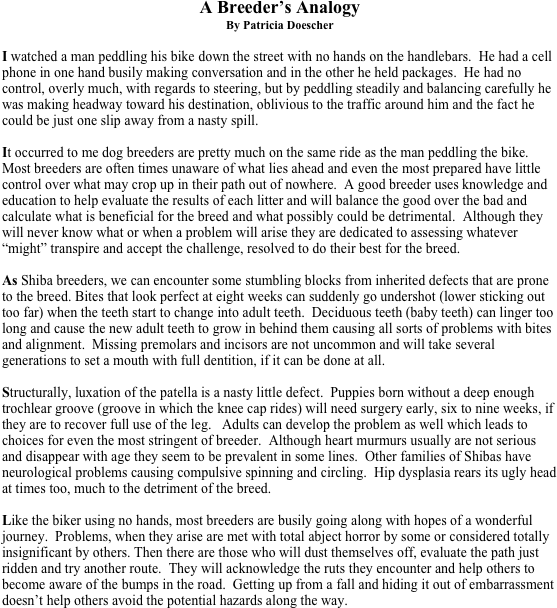 A Breeder’s Analogy
By Patricia Doescher

I watched a man peddling his bike down the street with no hands on the handlebars.  He had a cell phone in one hand busily making conversation and in the other he held packages.  He had no control, overly much, with regards to steering, but by peddling steadily and balancing carefully he was making headway toward his destination, oblivious to the traffic around him and the fact he could be just one slip away from a nasty spill.  

It occurred to me dog breeders are pretty much on the same ride as the man peddling the bike.  Most breeders are often times unaware of what lies ahead and even the most prepared have little control over what may crop up in their path out of nowhere.  A good breeder uses knowledge and education to help evaluate the results of each litter and will balance the good over the bad and calculate what is beneficial for the breed and what possibly could be detrimental.  Although they will never know what or when a problem will arise they are dedicated to assessing whatever “might” transpire and accept the challenge, resolved to do their best for the breed.  

As Shiba breeders, we can encounter some stumbling blocks from inherited defects that are prone to the breed. Bites that look perfect at eight weeks can suddenly go undershot (lower sticking out too far) when the teeth start to change into adult teeth.  Deciduous teeth (baby teeth) can linger too long and cause the new adult teeth to grow in behind them causing all sorts of problems with bites and alignment.  Missing premolars and incisors are not uncommon and will take several generations to set a mouth with full dentition, if it can be done at all.  

Structurally, luxation of the patella is a nasty little defect.  Puppies born without a deep enough trochlear groove (groove in which the knee cap rides) will need surgery early, six to nine weeks, if they are to recover full use of the leg.   Adults can develop the problem as well which leads to choices for even the most stringent of breeder.  Although heart murmurs usually are not serious and disappear with age they seem to be prevalent in some lines.  Other families of Shibas have neurological problems causing compulsive spinning and circling.  Hip dysplasia rears its ugly head at times too, much to the detriment of the breed. 

Like the biker using no hands, most breeders are busily going along with hopes of a wonderful journey.  Problems, when they arise are met with total abject horror by some or considered totally insignificant by others. Then there are those who will dust themselves off, evaluate the path just ridden and try another route.  They will acknowledge the ruts they encounter and help others to become aware of the bumps in the road.  Getting up from a fall and hiding it out of embarrassment doesn’t help others avoid the potential hazards along the way. 


