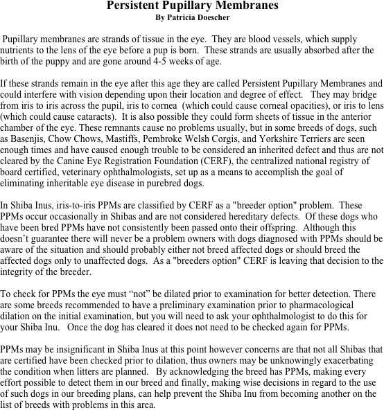 Persistent Pupillary Membranes
By Patricia Doescher

 Pupillary membranes are strands of tissue in the eye.  They are blood vessels, which supply nutrients to the lens of the eye before a pup is born.  These strands are usually absorbed after the birth of the puppy and are gone around 4-5 weeks of age.

If these strands remain in the eye after this age they are called Persistent Pupillary Membranes and could interfere with vision depending upon their location and degree of effect.   They may bridge from iris to iris across the pupil, iris to cornea  (which could cause corneal opacities), or iris to lens (which could cause cataracts).  It is also possible they could form sheets of tissue in the anterior chamber of the eye. These remnants cause no problems usually, but in some breeds of dogs, such as Basenjis, Chow Chows, Mastiffs, Pembroke Welsh Corgis, and Yorkshire Terriers are seen enough times and have caused enough trouble to be considered an inherited defect and thus are not cleared by the Canine Eye Registration Foundation (CERF), the centralized national registry of board certified, veterinary ophthalmologists, set up as a means to accomplish the goal of eliminating inheritable eye disease in purebred dogs.  

In Shiba Inus, iris-to-iris PPMs are classified by CERF as a "breeder option" problem.  These PPMs occur occasionally in Shibas and are not considered hereditary defects.  Of these dogs who have been bred PPMs have not consistently been passed onto their offspring.  Although this doesn’t guarantee there will never be a problem owners with dogs diagnosed with PPMs should be aware of the situation and should probably either not breed affected dogs or should breed the affected dogs only to unaffected dogs.  As a "breeders option" CERF is leaving that decision to the integrity of the breeder. 

To check for PPMs the eye must “not” be dilated prior to examination for better detection. There are some breeds recommended to have a preliminary examination prior to pharmacological dilation on the initial examination, but you will need to ask your ophthalmologist to do this for your Shiba Inu.   Once the dog has cleared it does not need to be checked again for PPMs.   

PPMs may be insignificant in Shiba Inus at this point however concerns are that not all Shibas that are certified have been checked prior to dilation, thus owners may be unknowingly exacerbating the condition when litters are planned.   By acknowledging the breed has PPMs, making every effort possible to detect them in our breed and finally, making wise decisions in regard to the use of such dogs in our breeding plans, can help prevent the Shiba Inu from becoming another on the list of breeds with problems in this area.  


