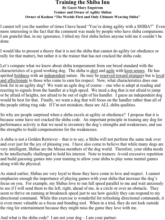 Training the Shiba Inu
By Guest Mary Engstrom
Trainer and Owner of Agility Shibas
Owner of Koshou “The Worlds First and Only Ultimate Weaving Shiba” 

I cannot tell you the number of times I have heard “You’re doing agility with a SHIBA?”  Even more interesting is the fact that the comment was made by people who have shiba companions.  I am grateful that, in my ignorance, I titled my first shiba before anyone told me it couldn’t be done.

I would like to present a theory that it is not the shiba that cannot do agility (or obedience or rally for that matter), but rather it is the trainer that has not cracked the shiba code.

Let’s compare what we know about shiba temperament from our breed standard with the characteristics of a good working dog.  The shiba is alert and agile with keen senses.  He has spirited boldness with an independent nature.  He may be reserved toward strangers but is loyal and affectionate to those who come to earn his respect.  Now, what characteristics does one look for in an agility dog?  We want an agile dog of course – one who is adept at reading and reacting to signals from the handler at a high speed.  We need a dog that is not afraid to jump or be afraid of heights, nor afraid to be out of sight of his handler.  I guess an independent dog would be best for that.  Finally, we want a dog that will focus on the handler rather than all of the people sitting ring side.  If I’m not mistaken, these are ALL shiba qualities.

So why are people surprised when a shiba excels at agility or obedience?  I propose that it is because some have not cracked the shiba code.  An important principle in training any dog for performance activity is that we need to inventory the dog’s strengths and weaknesses, and use the strengths to build compensations for the weaknesses.  

A shiba is not a Golden Retriever – that is to say, a Shiba will not perform the same task over and over just for the joy of pleasing you.  I have also come to believe that while many dogs are very intelligent, Shibas are the Mensa members of the dog world.  Therefore, your shiba needs to be intellectually challenged to hold his interest.  Note to trainers: Avoid excessive repetition and build guessing games into your training to allow your shiba to play some mental games along with the physical.

As stated earlier, Shibas are very loyal to those they have come to love and respect.  I cannot emphasize enough the importance of playing games with your shiba that increase the dog’s focus on you.  For example, my Shibas love to run full speed parallel to me and wait anxiously to see if I will send them to the left, right, ahead of me, in a circle or over an obstacle.  They seem to thrive on running at breakneck speed just to see how quickly they can respond to my directional command.  While this exercise is wonderful for refreshing directional commands, it is even more valuable as a focus and bonding tool.  When in a trial, they do not look outside the ring for entertainment because they might miss the game they love with me.

And what is the shiba code?  I am not your dog – I am your partner.


